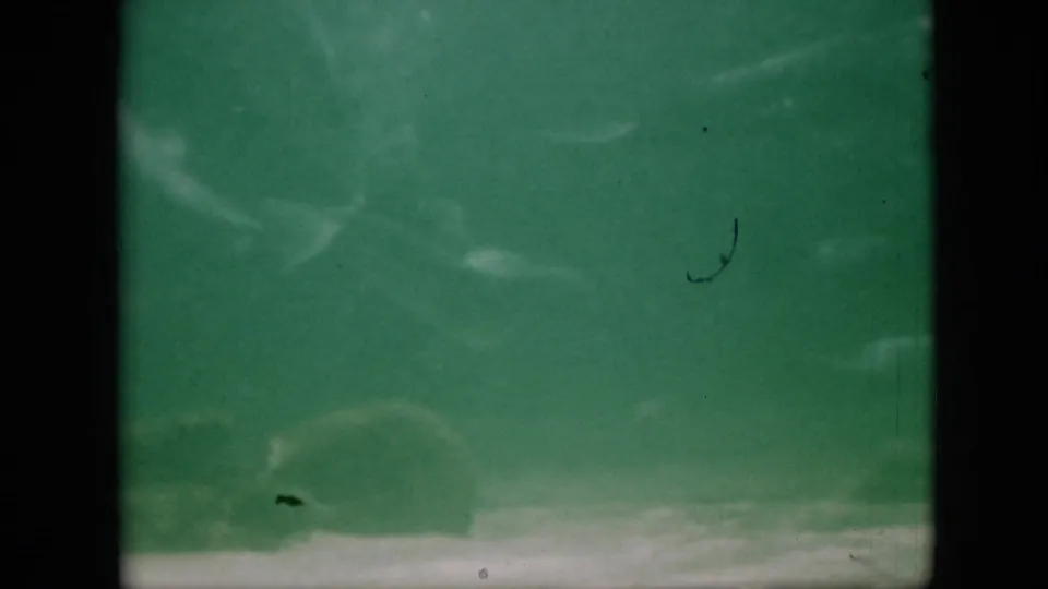 1958 Pennsylvania 8mm frame showing murky green water, a pale bottom or reflection band, and small fish-like movement near the left side.