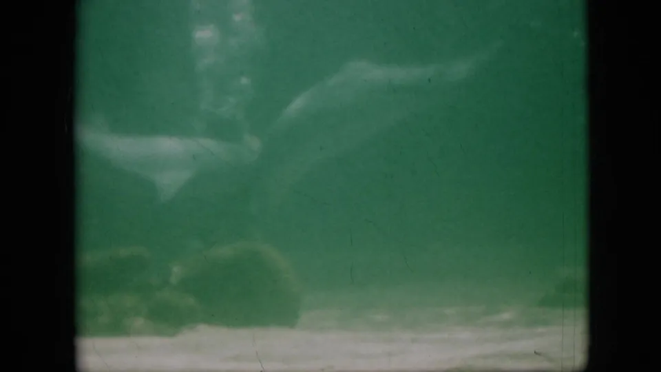 1958 Pennsylvania 8mm frame with green water, indistinct fish-like forms, pale lower sediment or reflection, and visible scratches from the film scan.