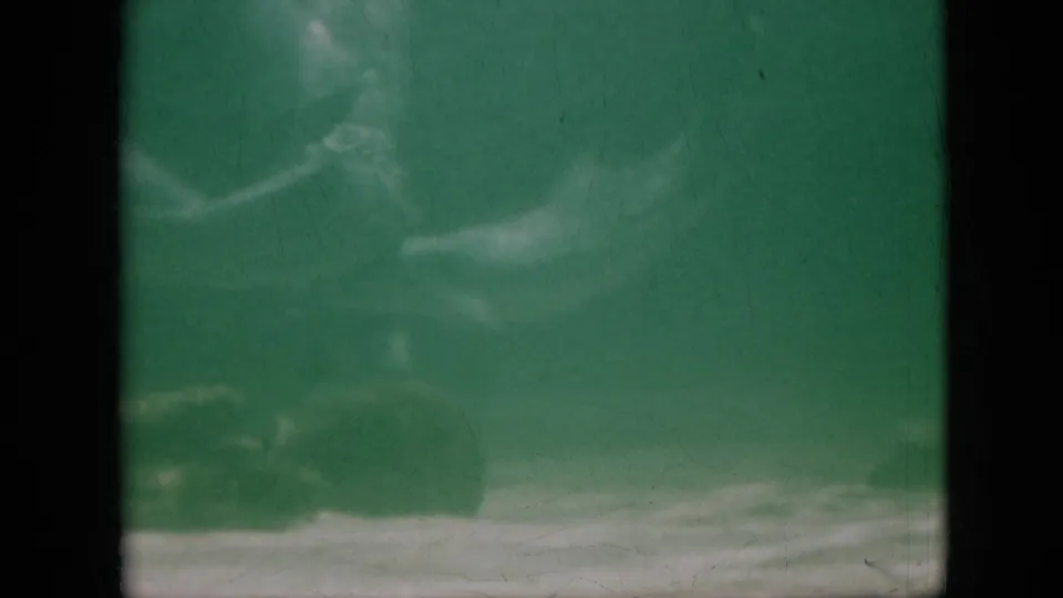 1958 Pennsylvania 8mm frame showing a dolphin-like form gliding through green aquarium water with pale tank bands and visible film wear.