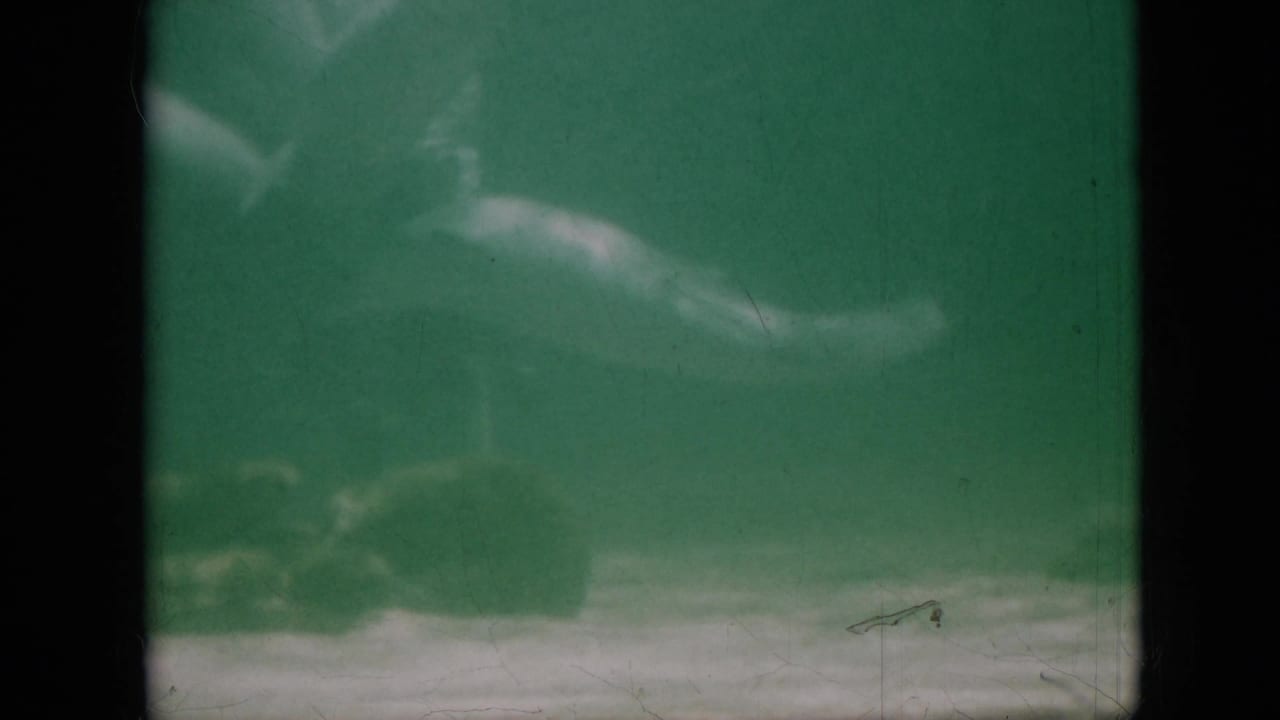1958 Pennsylvania 8mm frame with a dolphin swimming across murky green water, partly softened by faded color and film grain.