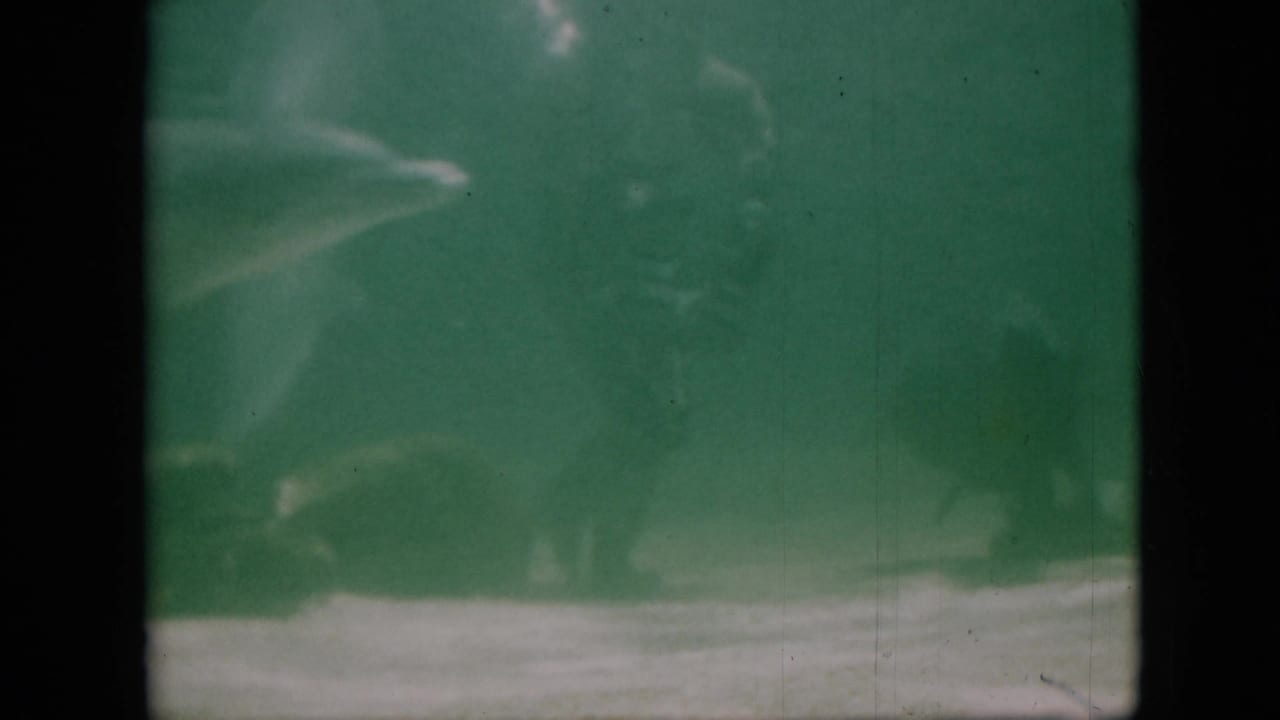 Blurred dolphin form and pale tank bands in green aquarium water.