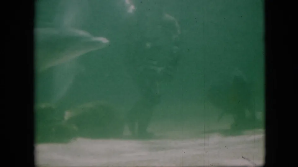 Faded 1958 Pennsylvania 8mm frame showing a blurred dolphin form in green aquarium water, with heavy grain and contact-sheet borders.