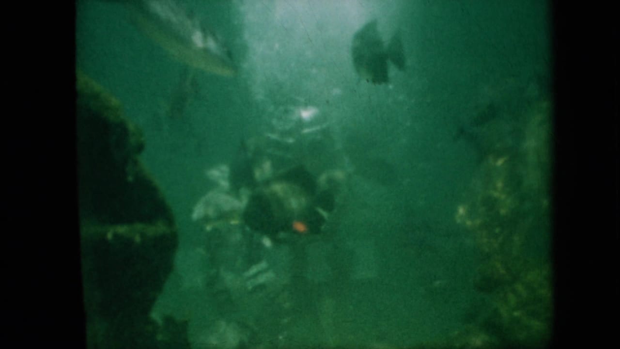 1958 Pennsylvania 8mm frame showing a green-tinted aquarium tank with fish near rocks and a helmeted diver partly obscured in the water.