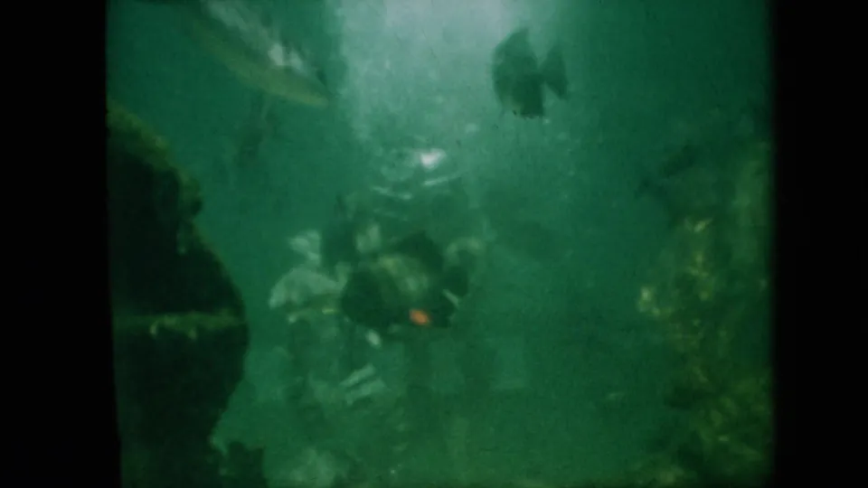 1958 Pennsylvania 8mm frame showing a green-tinted aquarium tank with fish near rocks and a helmeted diver partly obscured in the water.