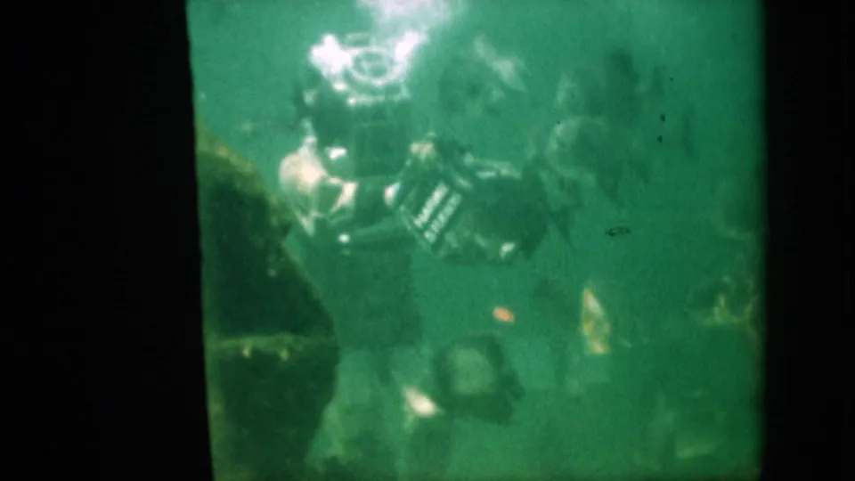 1958 Pennsylvania aquarium frame with a helmeted diver low in the tank near rocks and fish, seen through soft green 8mm film texture.