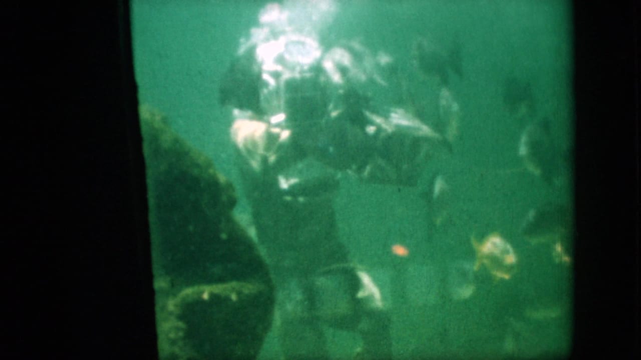 1958 Pennsylvania 8mm frame showing a scuba diver underwater in green water with fish and rising bubbles nearby.