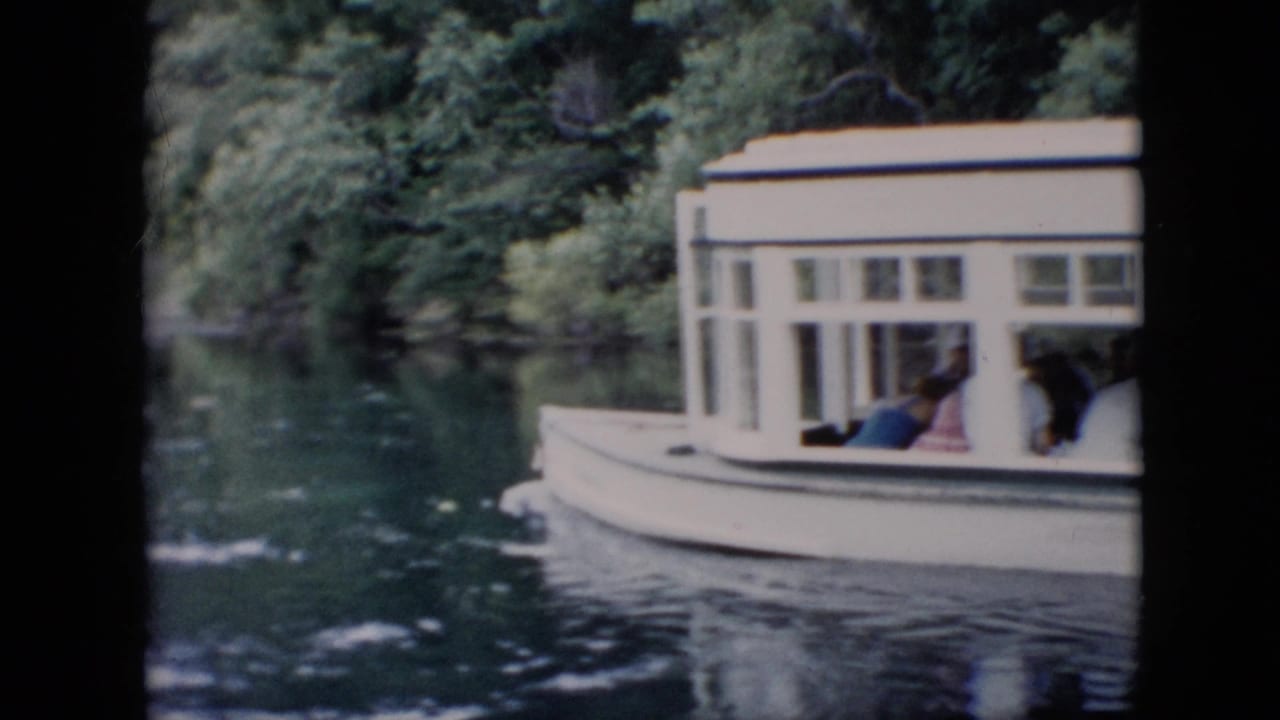 The tour boat continues past a green riverbank, its cabin windows showing passengers while the water reflects the surrounding trees.