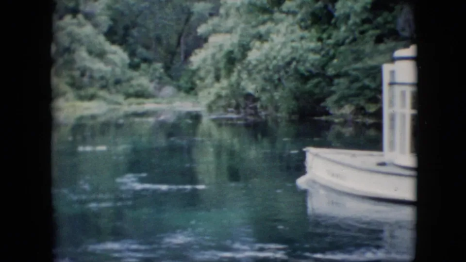 The white tour boat is mostly leaving the frame, with calm water, reflected trees, and dense foliage filling the river scene.