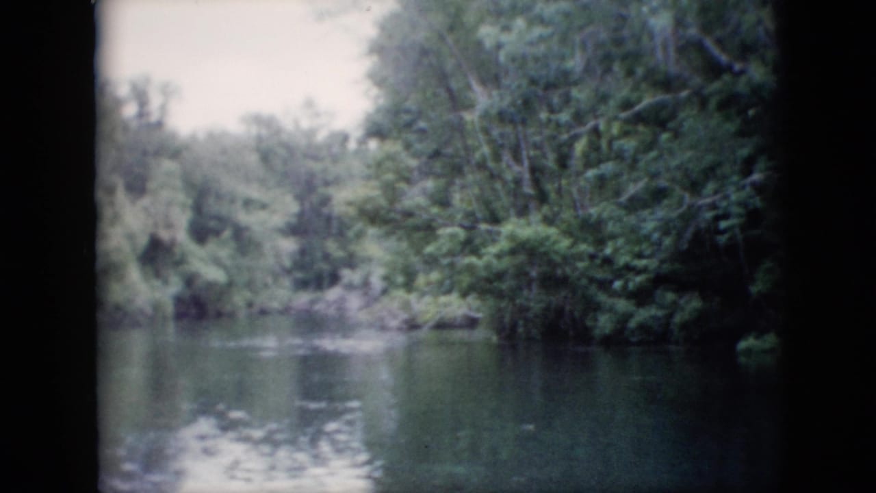 Forward view across still water toward a wooded bend.