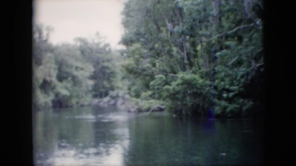 1958 Pennsylvania home-movie frame showing a forest-lined creek or river with reflective water and overhanging branches near the bank.