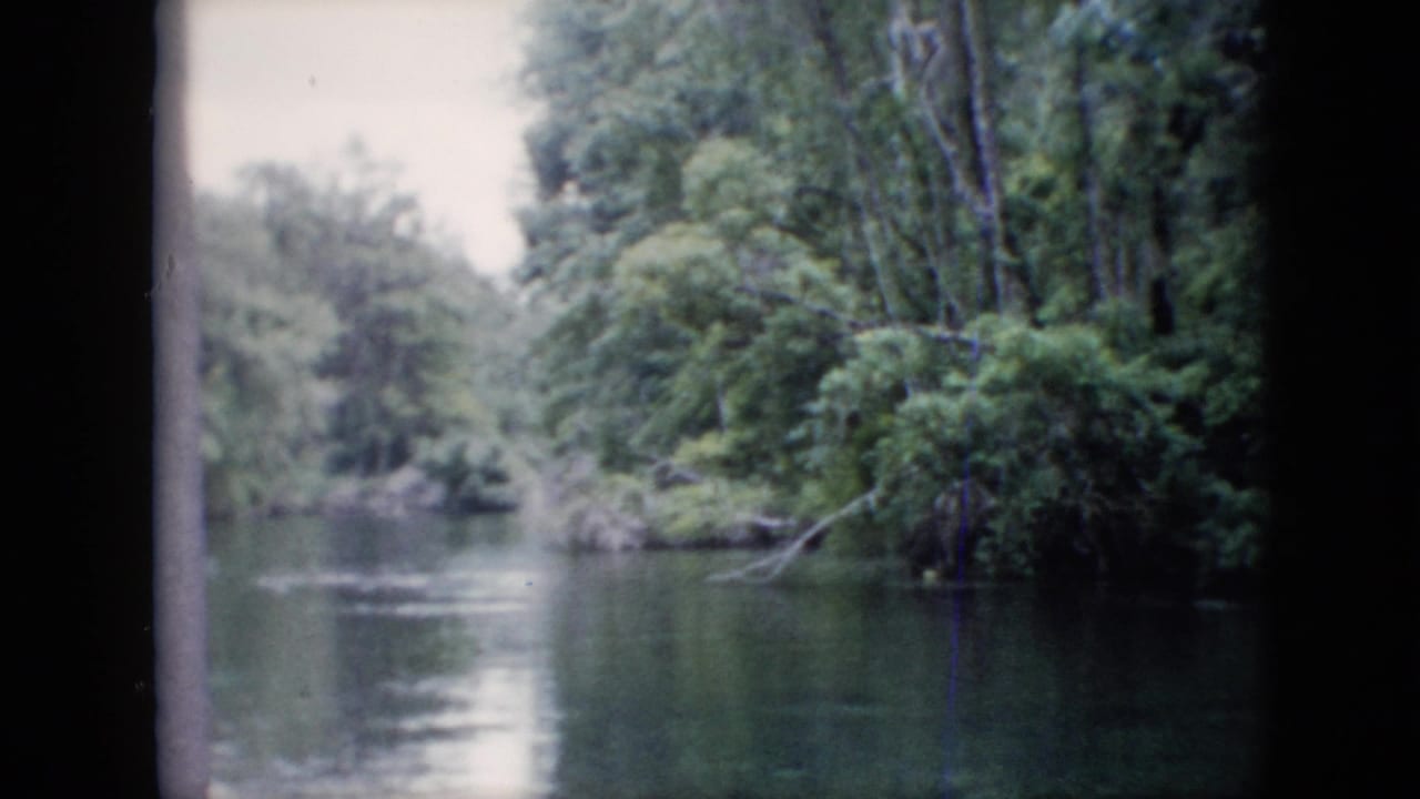 Wooded river bend with calm water and leafy trees along the bank.