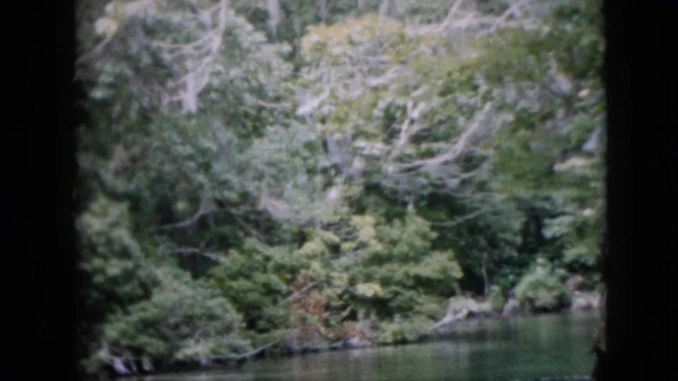 1958 Pennsylvania home-movie frame of calm river water bending beside dense green trees and brush, with no people or structures visible.