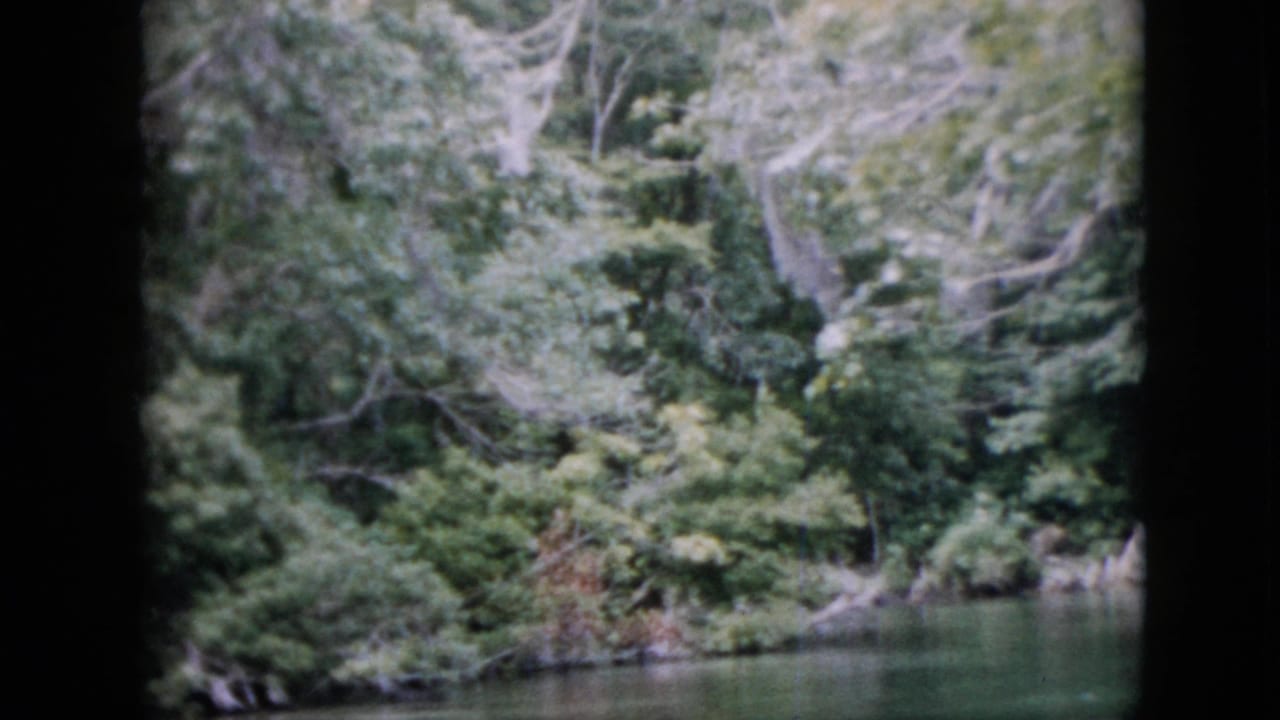 1958 Pennsylvania 8mm frame showing a shaded riverbank, green water, dense foliage, and pale tree branches along the shore.