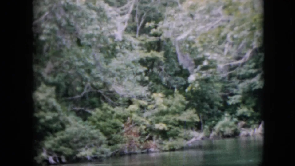 1958 Pennsylvania 8mm frame showing a shaded riverbank, green water, dense foliage, and pale tree branches along the shore.