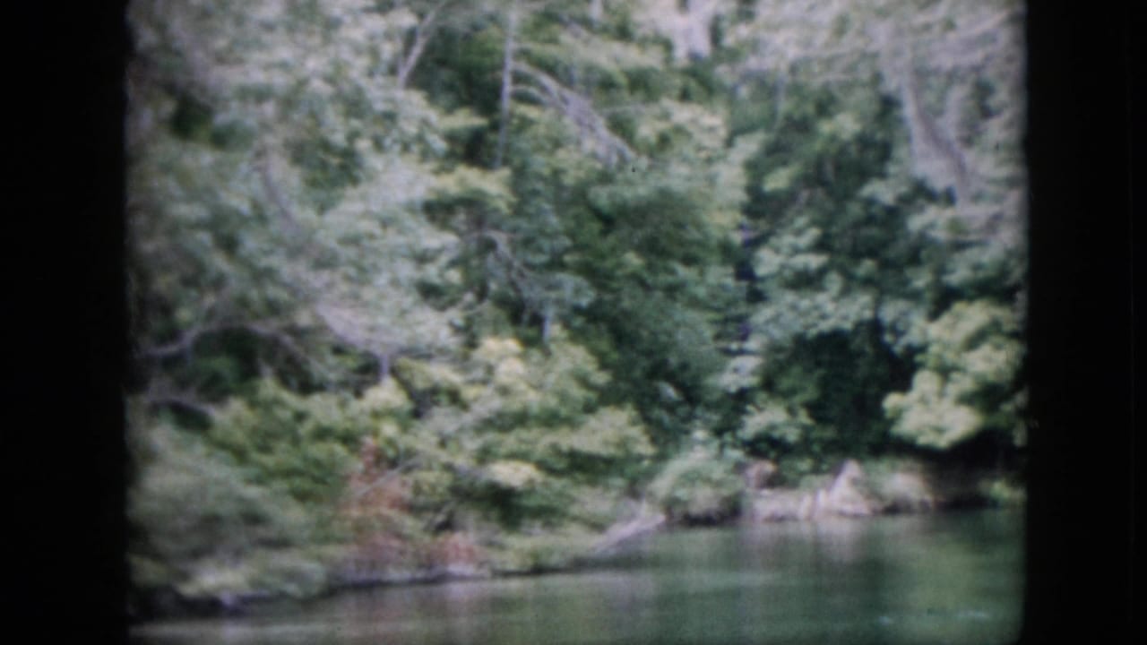 1958 Pennsylvania home-movie frame looking across calm green river water toward a thick forested bank with rocks and tangled branches.