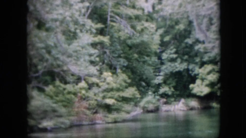 1958 Pennsylvania home-movie frame looking across calm green river water toward a thick forested bank with rocks and tangled branches.