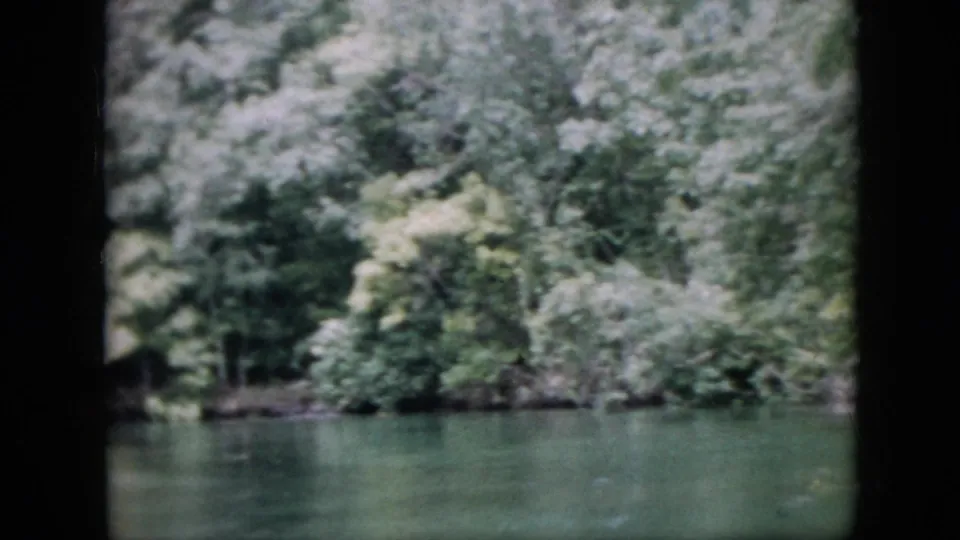 1958 Pennsylvania home-movie frame showing dense riverside trees and brush above green water, with soft handheld 8mm texture.
