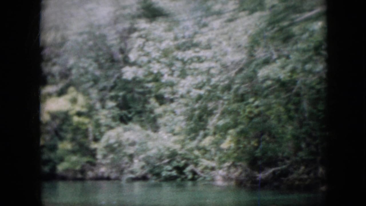 1958 Pennsylvania 8mm frame showing a greenish river bordered by dense trees and leafy forest growth.