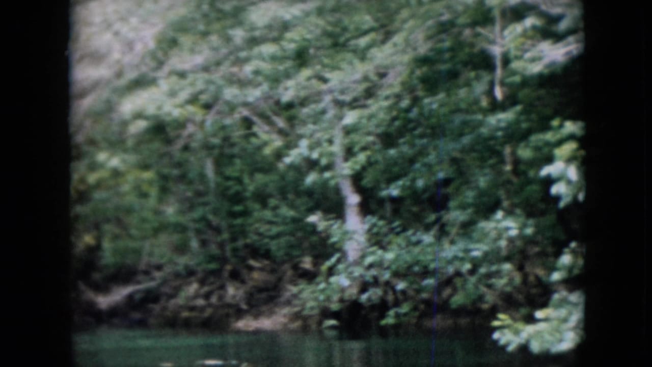 1958 Pennsylvania 8mm frame looking across water toward a wooded bank with tangled branches and thick green foliage.