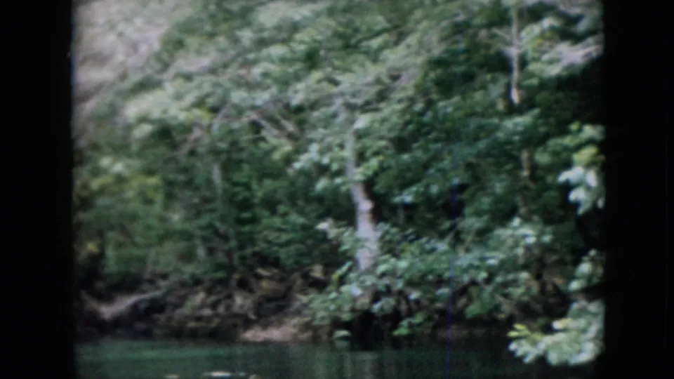 1958 Pennsylvania 8mm frame looking across water toward a wooded bank with tangled branches and thick green foliage.