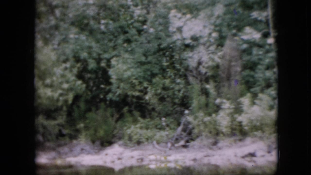 1958 Pennsylvania 8mm home-movie frame looking from a boat toward leafy trees, pale riverbank, and calm water, with dark vertical framing at the left and center.
