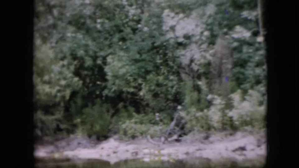 1958 Pennsylvania 8mm home-movie frame looking from a boat toward leafy trees, pale riverbank, and calm water, with dark vertical framing at the left and center.