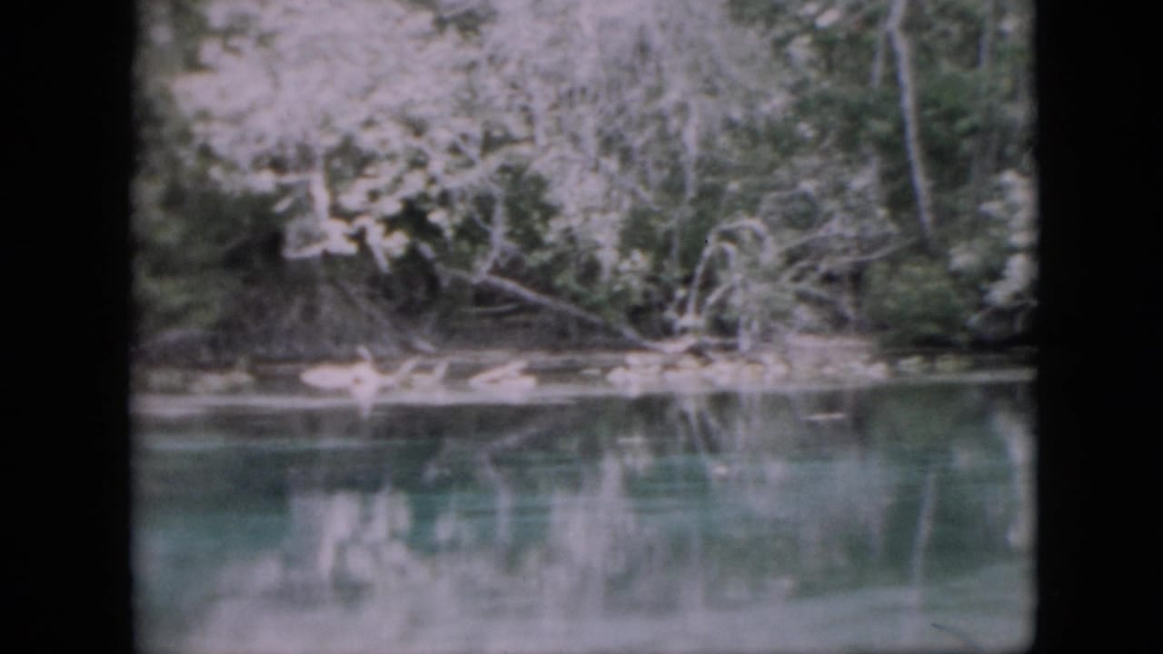 1958 Pennsylvania 8mm frame showing calm river water with dense trees and brush reflected along the opposite bank.