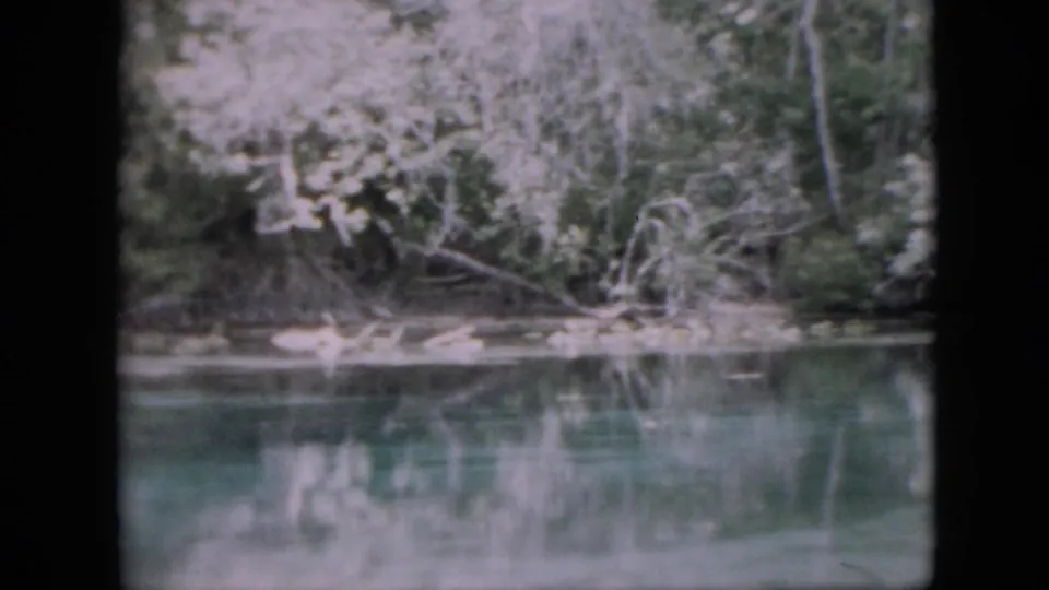 1958 Pennsylvania 8mm frame showing calm river water with dense trees and brush reflected along the opposite bank.