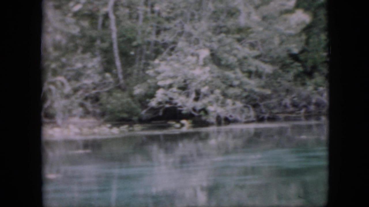Still river surface with trees and brush along the far bank.