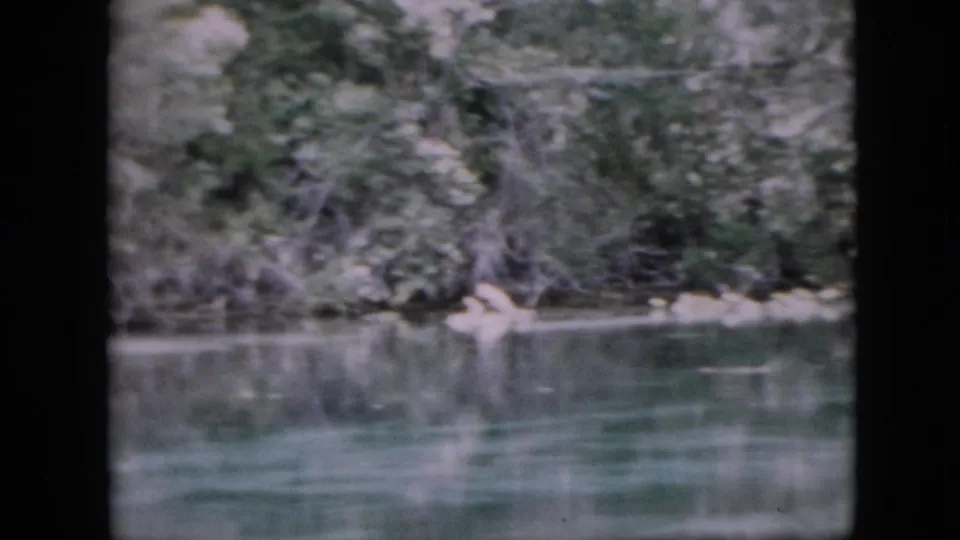 1958 Pennsylvania 8mm frame showing a quiet river edge with dense foliage, pale rocks, and subdued reflections on the water.