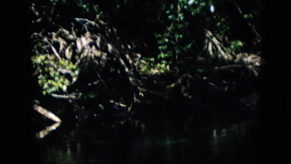 1958 Pennsylvania 8mm frame showing a dim wooded stream bank with exposed roots, leafy growth, a pale branch near the water, and deep shadow across the shoreline.