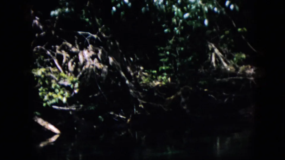 1958 Pennsylvania 8mm frame showing a low, shadowed view across still water toward an overgrown bank with roots, leaves, and a pale branch at the edge.