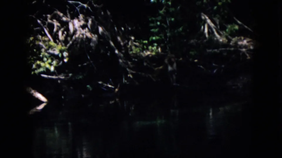 1958 Pennsylvania 8mm frame of a very dark wooded stream bank, with exposed roots and foliage above reflective water and no clearly identifiable person or landmark in this sampled frame.