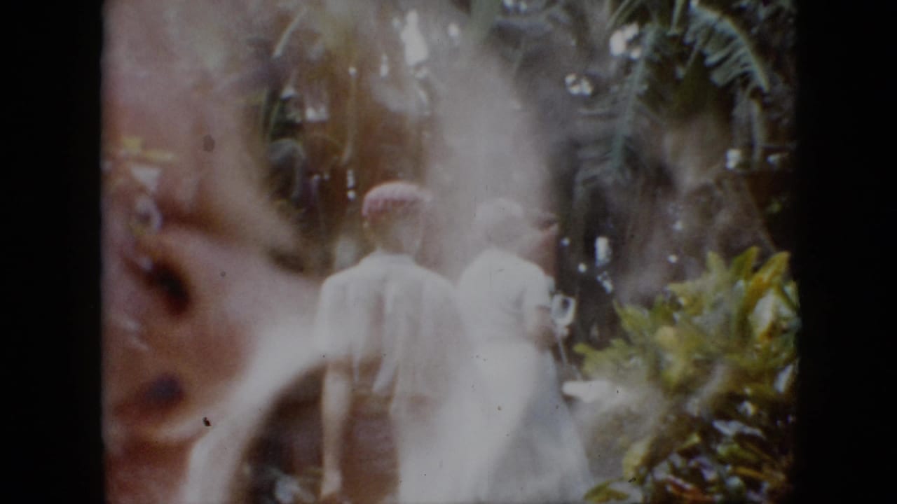 In 1958 Pennsylvania home-movie footage, an adult man in a red cap and an adult woman in a white dress walk away through lush garden plantings under soft, reflected 8mm light.