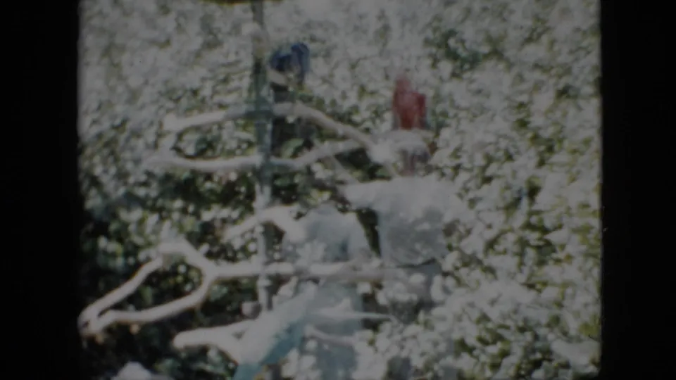 Two adults move through a bright garden area with pale branching railings or plant supports, surrounded by dense foliage in a faded 8mm home-movie frame.