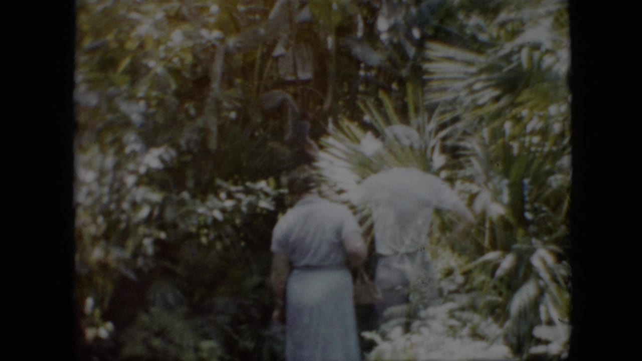 In the supplied 1958 Pennsylvania 8mm footage, two adults walk away from the camera through dense planted greenery with broad leaves and soft daylight.
