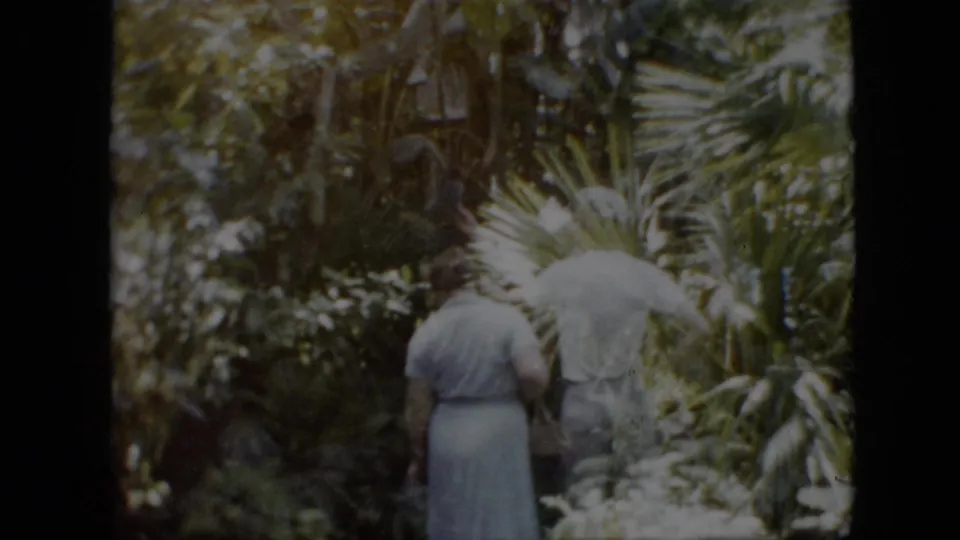 In the supplied 1958 Pennsylvania 8mm footage, two adults walk away from the camera through dense planted greenery with broad leaves and soft daylight.