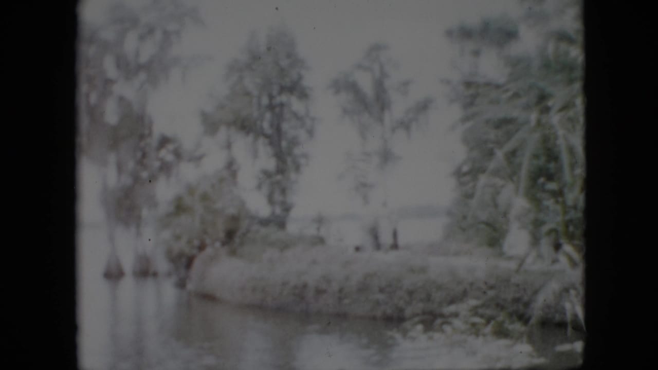 Soft waterside view with trees, island edge, and distant standing figures.