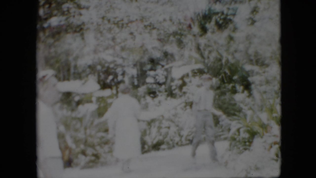 In this 1958 Pennsylvania home-movie frame, adults in light clothing appear amid dense greenery, with the scene strongly overexposed and softly focused.