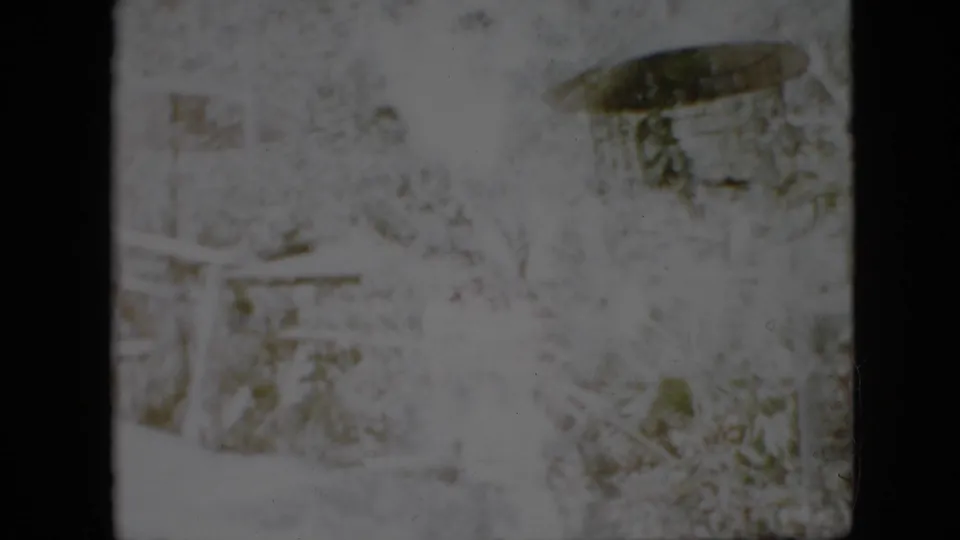 The final 1958 Pennsylvania 8mm frame shows a bright, faded outdoor garden view with dense plants, railings, and indistinct human forms or structures.