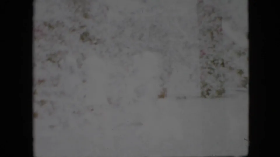 Faded 1958 Pennsylvania 8mm home-movie frame showing a bright outdoor garden or yard with faint distant figures near the bottom of the frame.