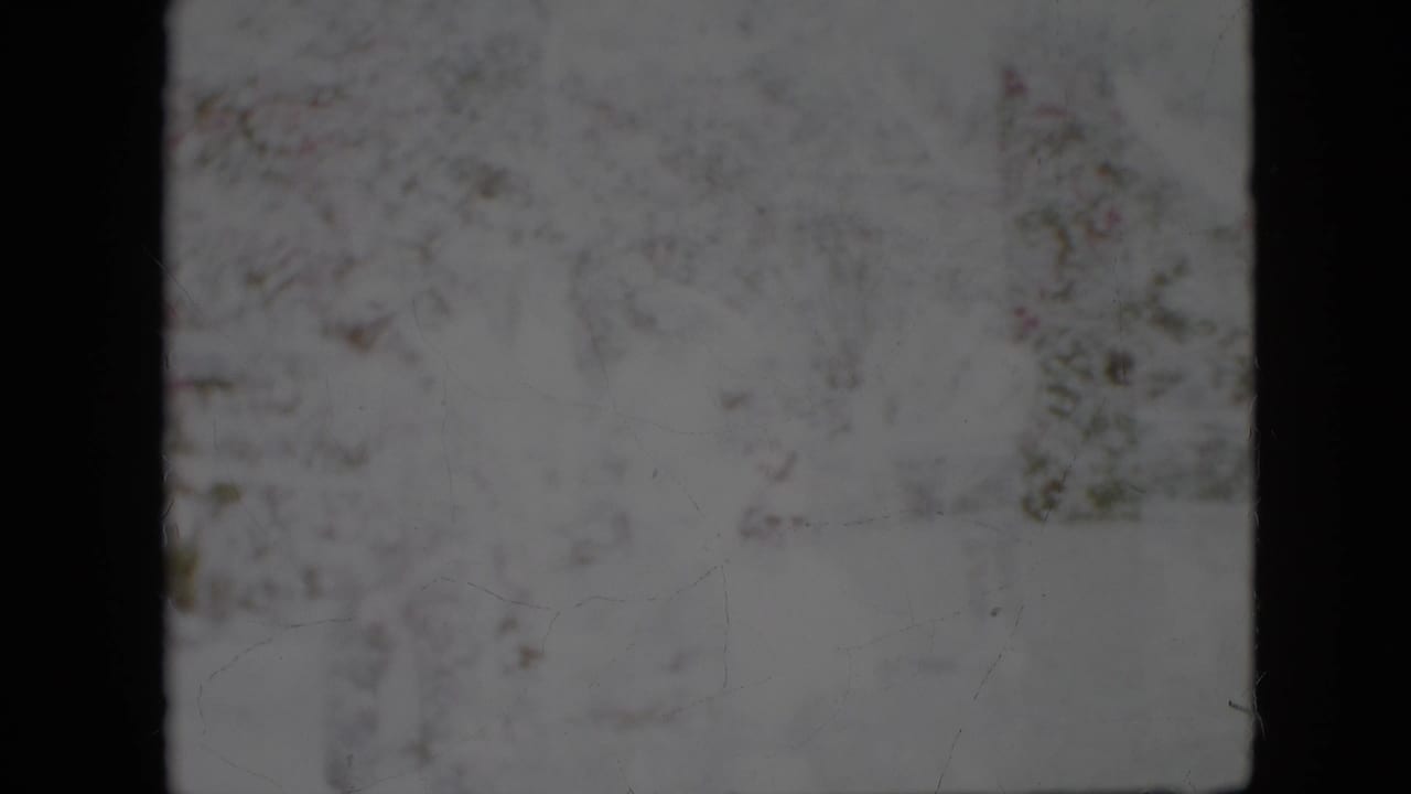 Faded 1958 Pennsylvania home-movie frame with washed highlights, leafy background, and barely distinguishable people in an outdoor gathering.