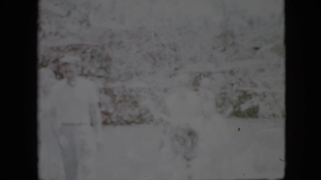 Very soft 1958 Pennsylvania 8mm frame showing pale outdoor foliage or garden texture with dark film borders and no clearly identifiable faces.