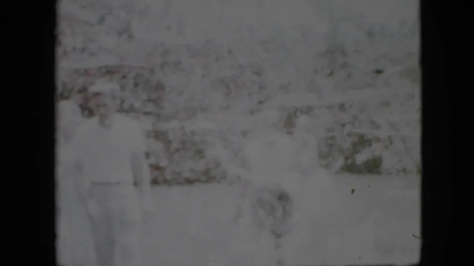 Very soft 1958 Pennsylvania 8mm frame showing pale outdoor foliage or garden texture with dark film borders and no clearly identifiable faces.