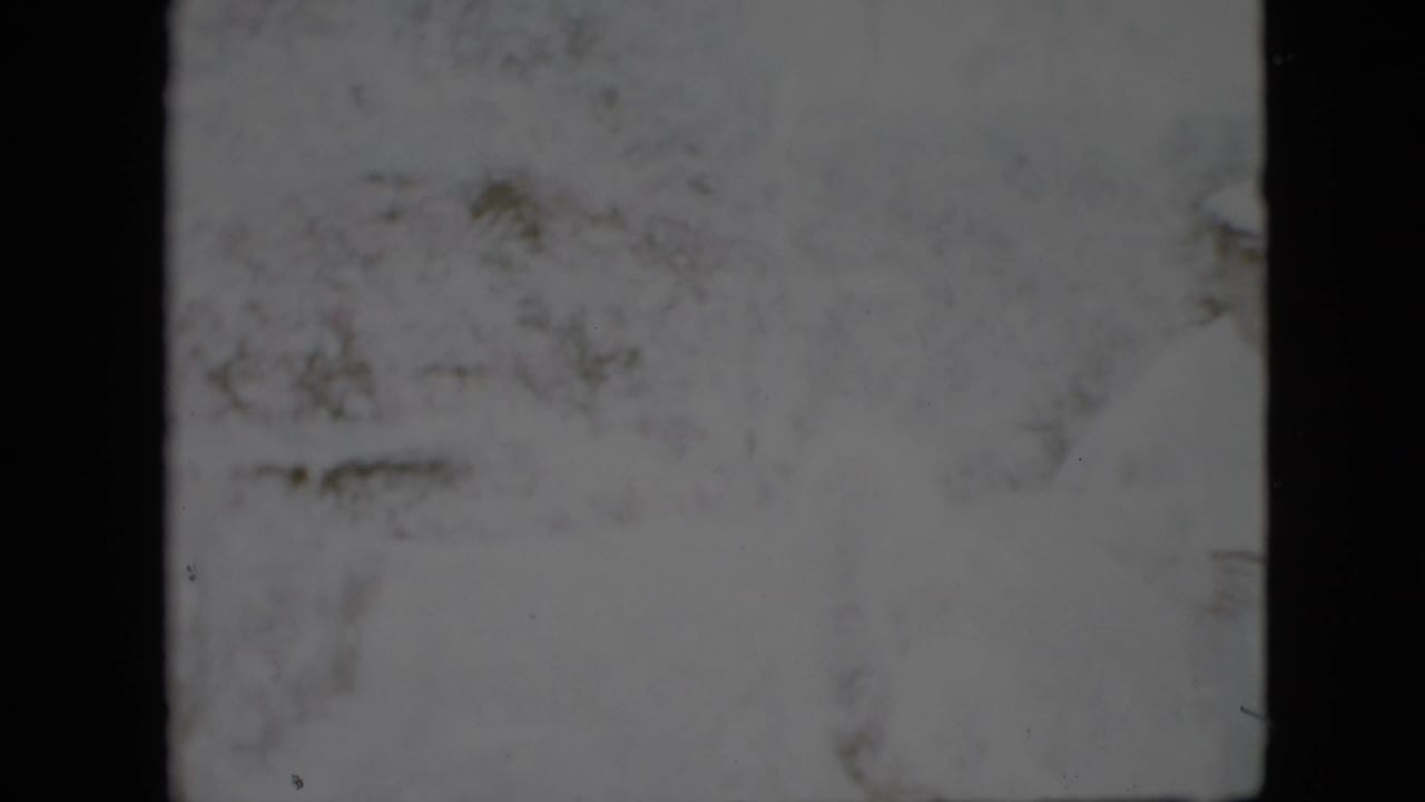 Faded 1958 Pennsylvania home-movie frame with a soft, overexposed outdoor garden view and visible 8mm frame edges.
