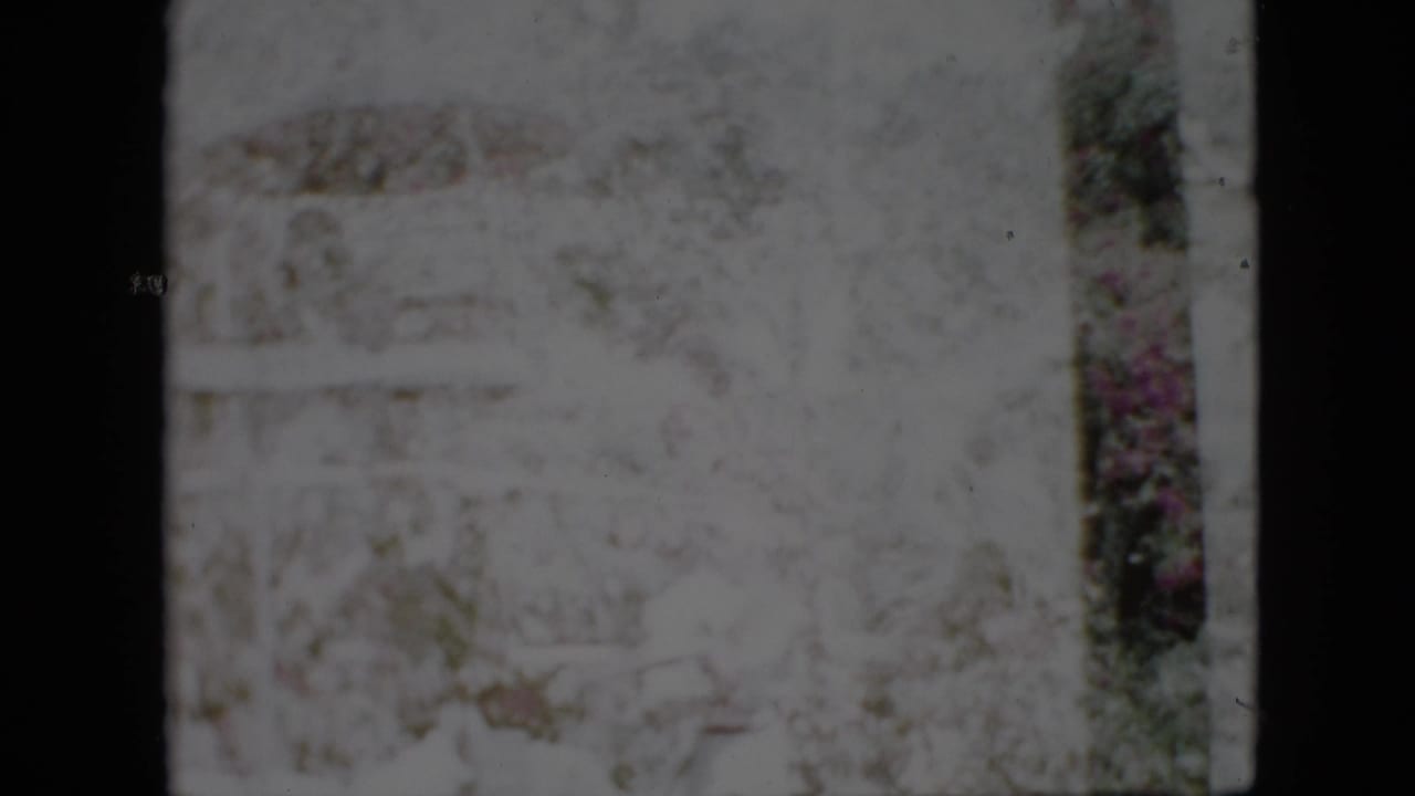 1958 Pennsylvania 8mm frame showing a pale, soft-focus forest view with tree trunks, underbrush, and indistinct people moving through the scene.