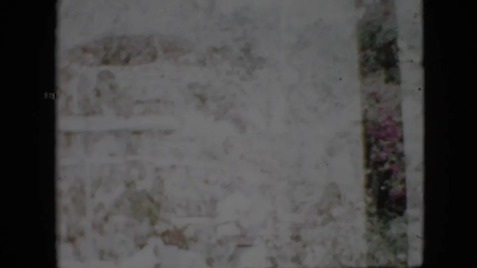 1958 Pennsylvania 8mm frame showing a pale, soft-focus forest view with tree trunks, underbrush, and indistinct people moving through the scene.