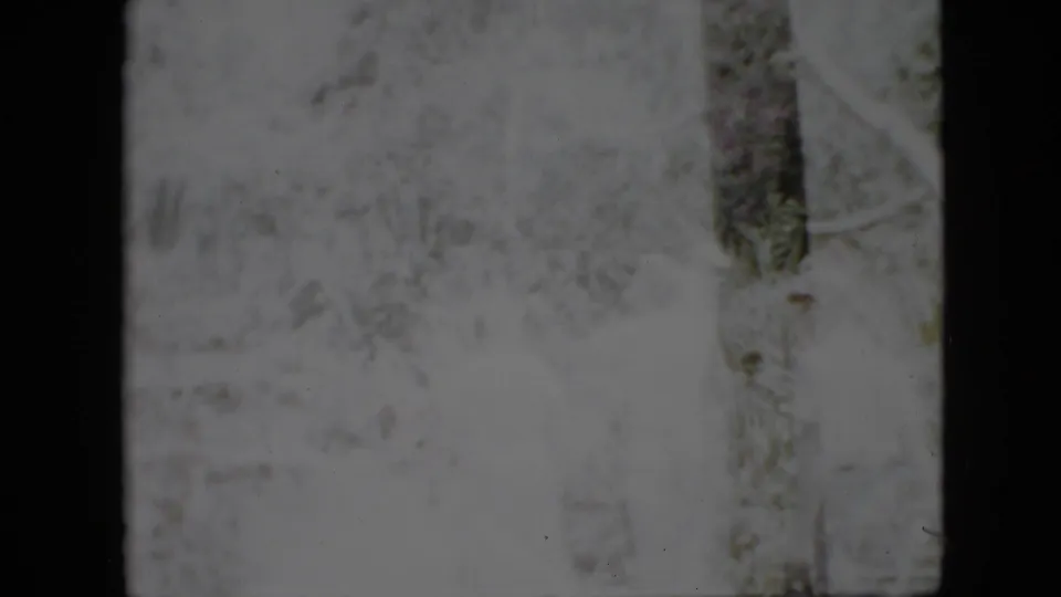 1958 Pennsylvania 8mm frame with a washed-out wooded setting, vertical trunks, and faint walkers partly obscured by exposure and vegetation.