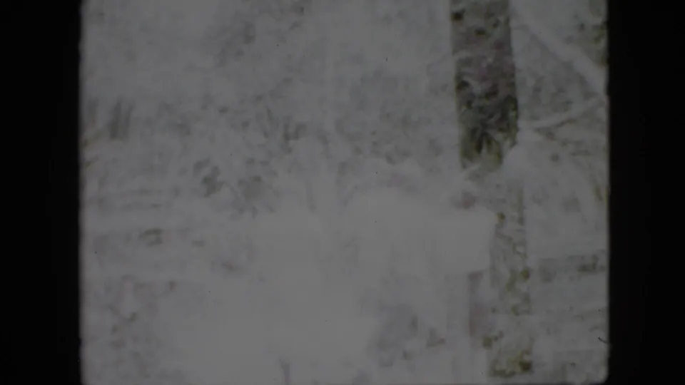 1958 Pennsylvania 8mm frame showing an overexposed section of woods with a prominent tree trunk, low vegetation, and indistinct people walking nearby.