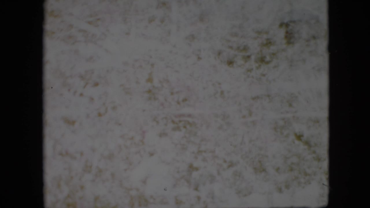 1958 Pennsylvania 8mm frame showing an indistinct pale surface with dark film borders, discoloration, specks, and faint plant-like forms.